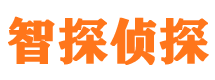 临河捉小三公司